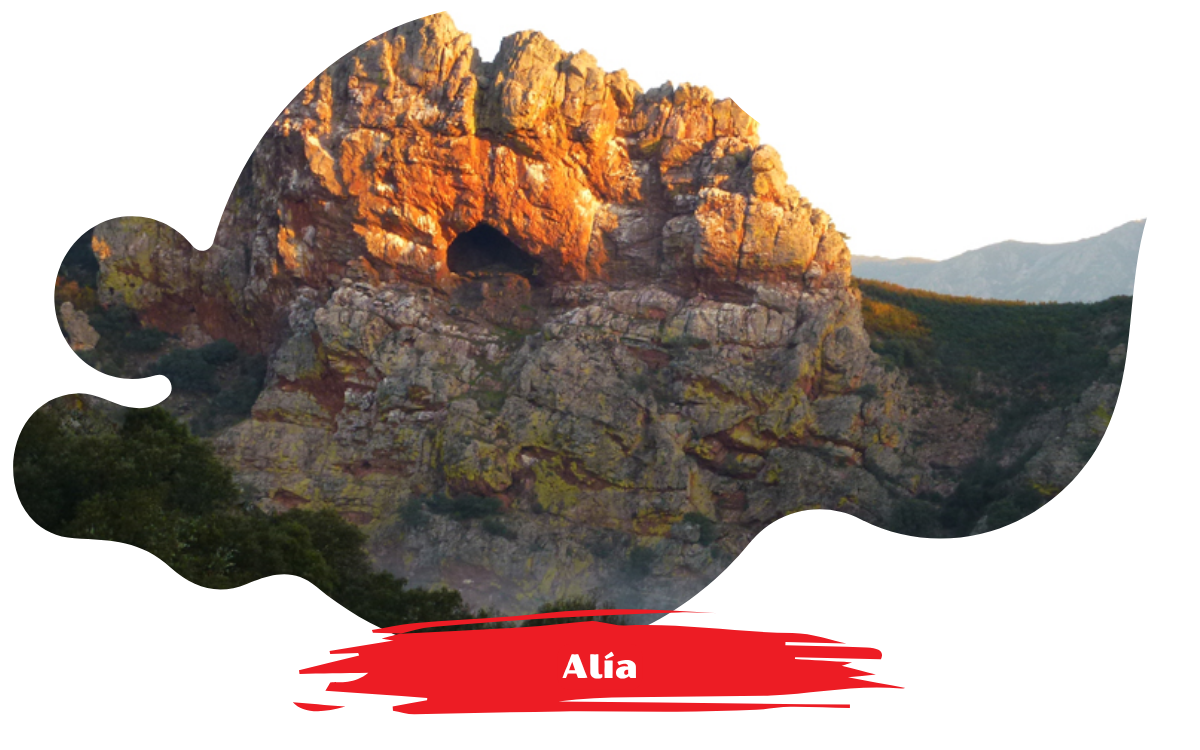 Alia
