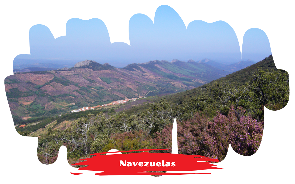 Navezuelas